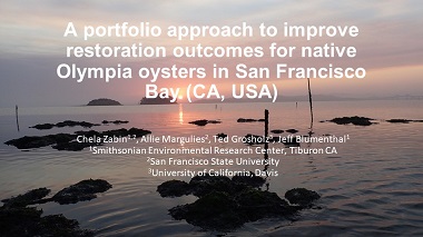 A portfolio approach to improve restoration outcomes for native Olympia oysters in San Francisco Bay, California, USA