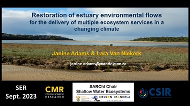 Restoration of estuary environmental flows for the delivery of multiple ecosystem services in a changing climate
