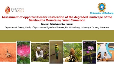 Assessing the opportunities for restoration of the degraded landscape of the Bamboutos Mountain in the West region of Cameroon
