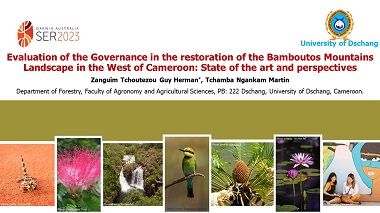 Evaluation of the Governance in the restoration of the Bamboutos Mountains Landscape in the West of Cameroon: State of the art and perspectives