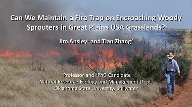 Can we maintain a fire trap on encroaching woody sprouters in Great Plains USA grasslands?