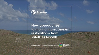 New approaches to monitoring ecosystem restoration – from satellites to cells