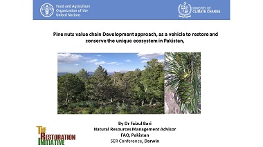 Pakistan - Focus on value chain development and community forestry