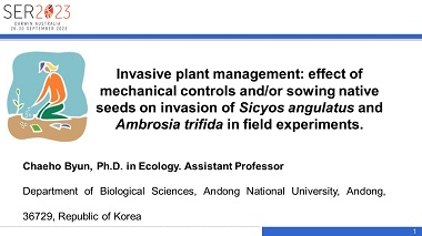 Invasive plant management: The effect of mechanical controls and sowing native seeds on invasion of Sicyos angulatus in a field experiment