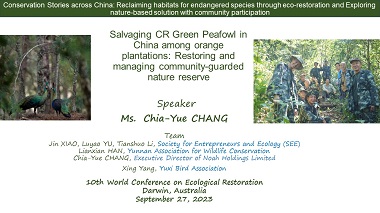 Salvaging CR Green Peafowls in China among orange plantations: Restoring and managing community-guarded reserves