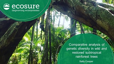 Comparative analysis of genetic diversity in wild and restored subtropical rainforest trees: Argyrodendron trifoliolatum, Ficus watkinsiana and Diploglottis australis