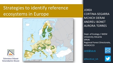 Strategies to identify reference ecosystems in Europe