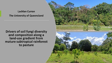 Drivers of soil fungi diversity and composition along a land-use gradient from mature subtropical rainforest to pasture