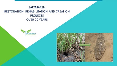 Saltmarsh rehabilitation and creation over 10 years: Case studies