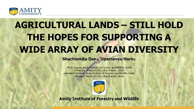 Agricultural lands – still hold the hopes for supporting a wide array of avian diversity