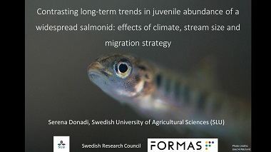 Contrasting long-term trends in juvenile abundance of a widespread cold-water salmonid along a latitudinal gradient: effects of climate, stream size and migration strategy