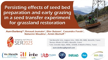Effects of seed bed preparation and early grazing on seed transfer experiment for grassland restoration