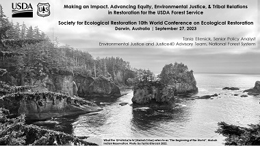 Making an impact: Advancing equity, environmental justice, and Tribal relations in restoration for the USDA Forest Service
