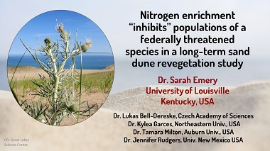 Nitrogen enrichment inhibits populations of a federally threatened species in a long-term sand dune revegetation study