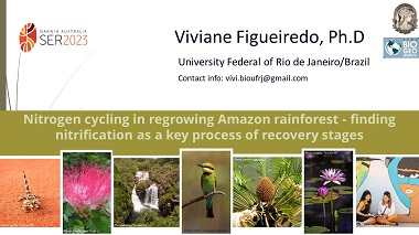 Nitrogen cycling in regrowing Amazon rainforest - finding nitrification as a key process of recovery stages