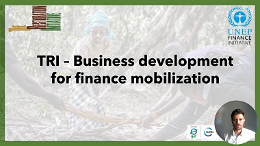 Business development for finance mobilization