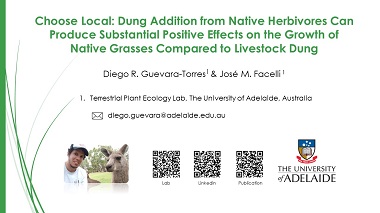 Choose Local: Dung Addition from Native Herbivores Can Produce Substantial Positive Effects on the Growth of Native Grasses Compared to Livestock Dung