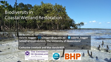 Framework for measuring and verifying biodiversity benefits in coastal wetland restoration projects