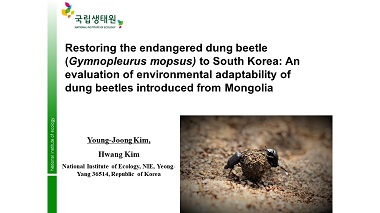 Restoring the endangered dung beetle (Gymnopleurus mopsus) to South Korea: An evaluation of environmental adaptability of dung beetles introduced from Mongolia