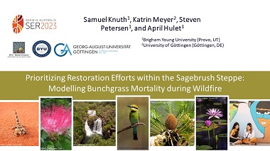 Prioritizing Restoration Efforts within the Sagebrush Steppe: Modeling Bunchgrass Mortality during Wildfire