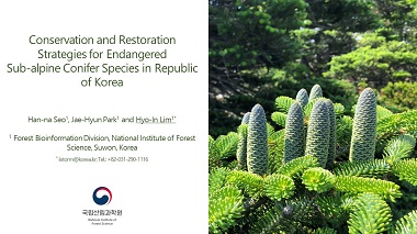 Conservation and restoration strategies for endangered sub-alpine conifer species in Republic of Korea