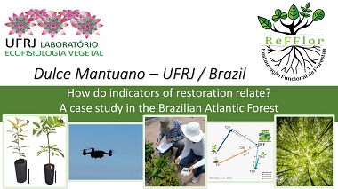 How do indicators of restoration cover relate? A case study in the Brazilian Atlantic Forest