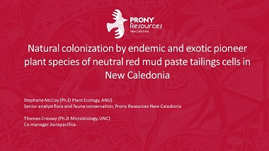 Natural colonization by endemic and exotic pioneer plant species of neutral red mud paste tailings cells in New Caledonia