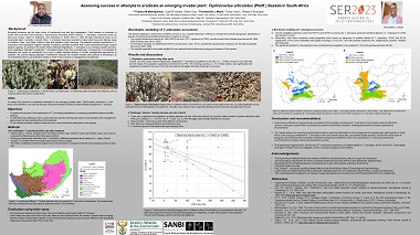 Assessing success in eradication attempts for an emerging invader plant: Tephrocactus articulatus (Pfeiff.) Backeb, in arid areas of South Africa