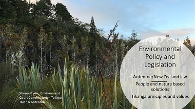 Wetland Policy and Legislation – people and nature based solutions to global challenges