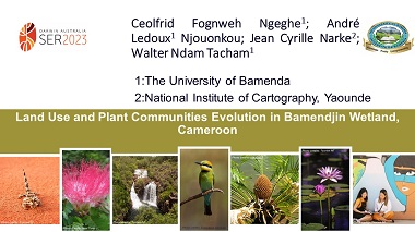 Land Use and Plant Communities Evolution in Bamendjin Wetland, Cameroon