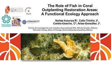 The Role of Fish in Coral Outplanting Restoration Areas: A Functional Ecology Approach