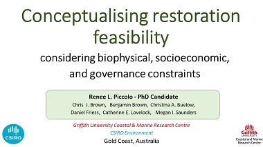 Conceptualising wetland restoration feasibility considering biophysical, socioeconomic, and governance constraints