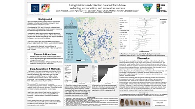 Using historic seed collection data to inform future collecting, conservation, and restoration success