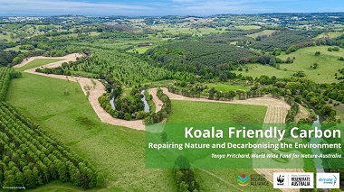 Koala Friendly Carbon: Repairing Nature and Decarbonising the Environment