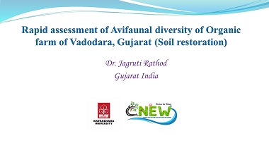 Rapid assessment of Avifaunal diversity of Organic farm of Vadodara, Gujarat, India (Soil restoration)