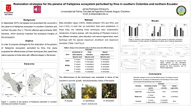 Restoration strategies for the páramo of frailejones ecosystem perturbed by fires in southern Colombia and northern Ecuador