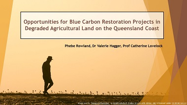 Opportunities for blue carbon restoration projects in degraded agricultural land of the coastal zone in Queensland, Australia