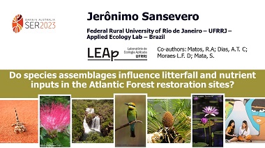 Do species assemblages influence litterfall and nutrient inputs in the Atlantic Forest restoration sites?