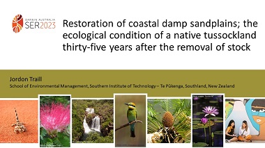 Restoration of coastal damp sandplains; the ecological condition of a native tussockland thirty-five years after the removal of stock.