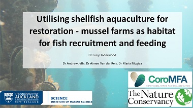 Utilising shellfish aquaculture for restoration - mussel farms as habitat for fish recruitment and feeding
