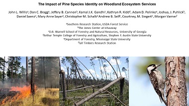 Impact of Pine Species Identity on Woodland Ecosystem Services