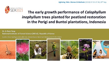 The early growth performance of Calophyllum inophyllum trees planted for peatland restoration in the Perigi and Buntoi plantations, Indonesia