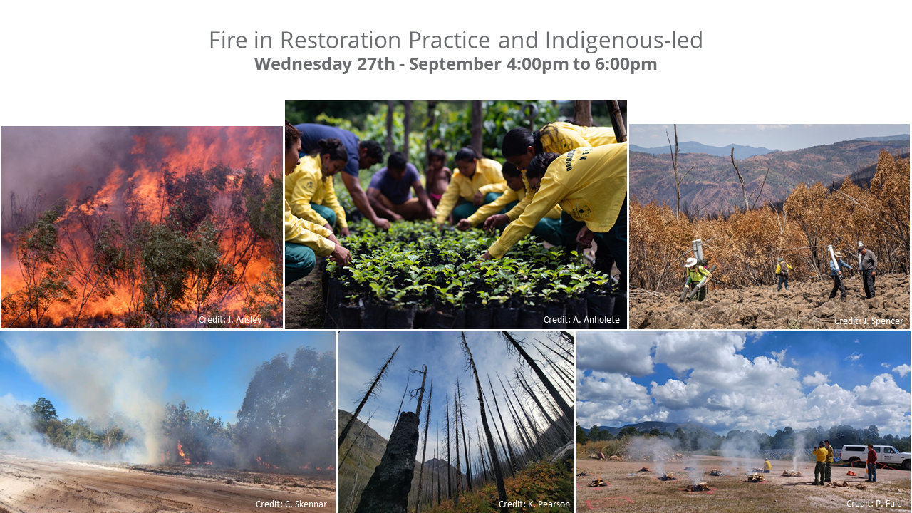 Open Session: Fire in Restoration Practice and Indigenous-led