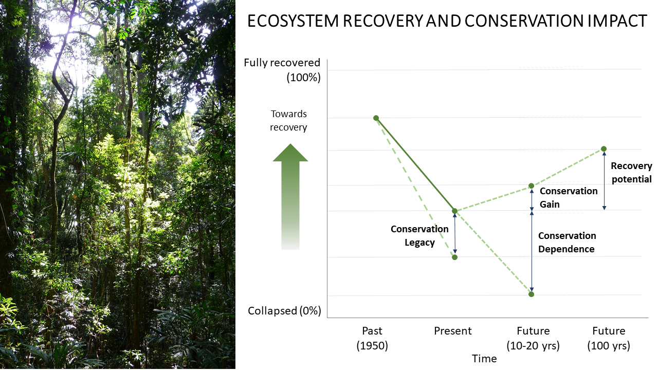 Workshop #8 Developing an IUCN Green Status of Ecosystems. Organiser: Jessica Walsh (120mins)